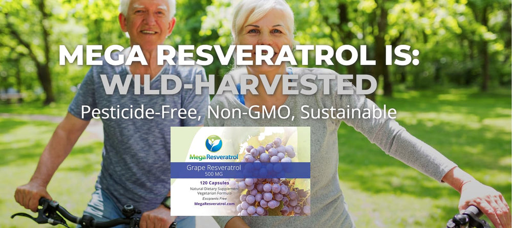 Mega Resveratrol Grape product origin USA and France-sourced ingredients.