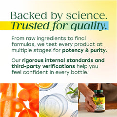 Sleek MegaFood packaging emphasizing vegetarian formula for men 55+