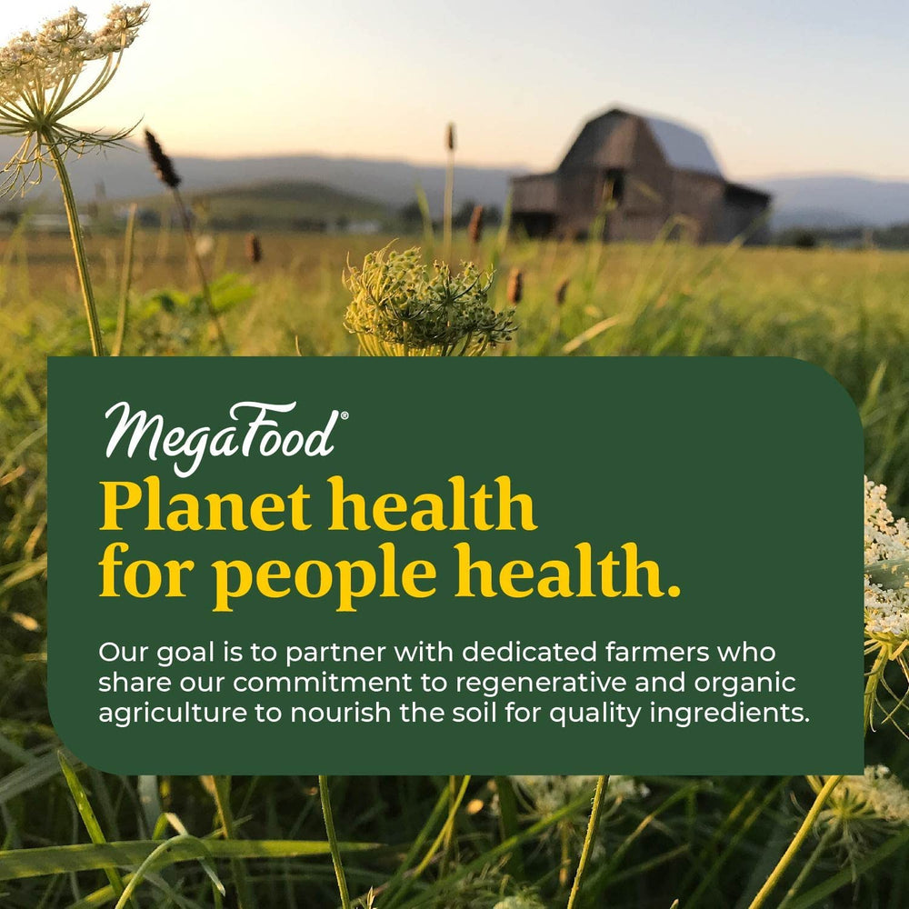 MegaFood Blood Builder ingredients listing vitamin C, B12 and folic acid