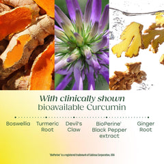 Ingredient palette featuring turmeric, ginger, and boswellia for joint-supporting blend