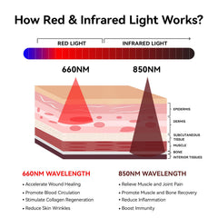 Megelin protective goggles included protect eyes during red light sessions