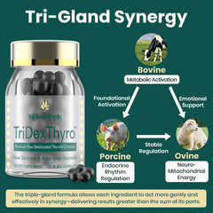 Meliorantheris TriDexThyro two-pack supports ongoing routine and value.