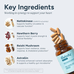 Melody Heart Tune astragin-absorption highlights added absorption for better availability.