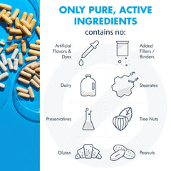 Metabolic Maintenance Plus capsules illustrate active B vitamins and 5-MTHF for methylation support.