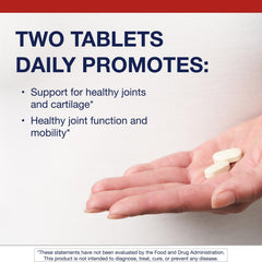 Metagenics glucosamine sulfate capsules close-up highlighting compact tablets for flexibility