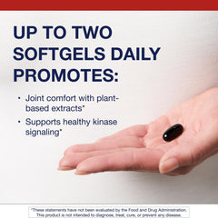 Metagenics Kaprex softgels in bottle for easy daily use.