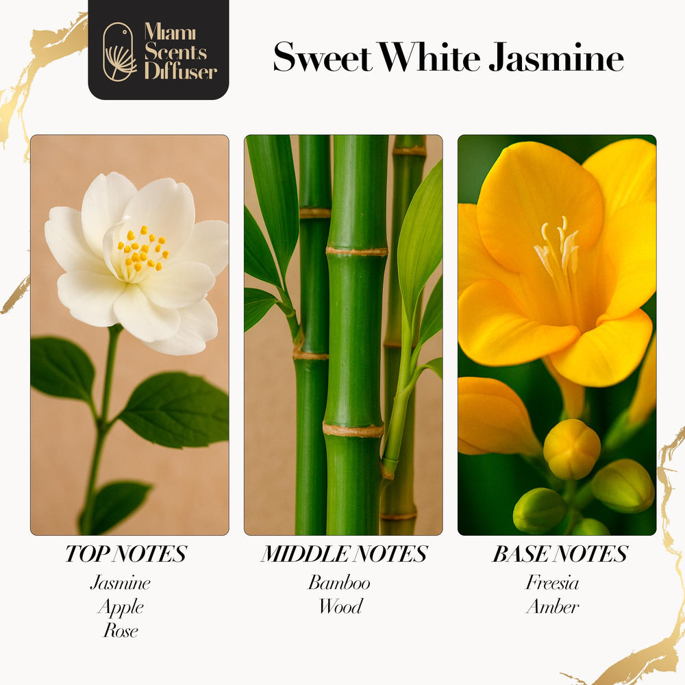 Miami Scents Diffuser White Jasmine Bloom bottle closeup highlights natural ingredients and clarity