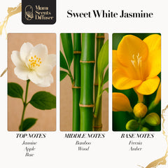 Miami Scents Diffuser White Jasmine Bloom bottle closeup highlights natural ingredients and clarity