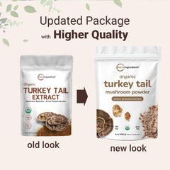 Micro Ingredients 50-1 extract turkey tail; concentrated powder for versatile mixing.