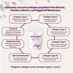 Biotin 10000mcg included for potential beauty-supporting use