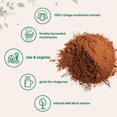 Micro Ingredients Chaga extract added to smoothie for an antioxidant-rich boost.