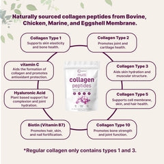 Micro Ingredients collagen types I II III V X included for comprehensive support.