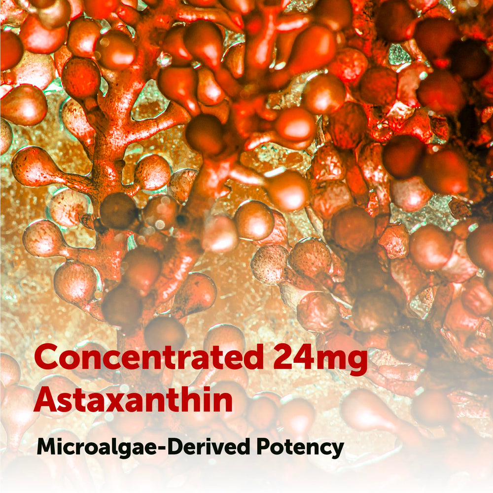 Micro Ingredients packaging image shows 60-softgel supply for convenience.