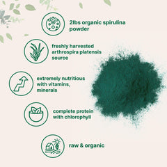 Micro Ingredients spirulina powder vibrant green powder with clean aroma.