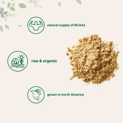 Micro Ingredients vegan protein shake glass with creamy texture