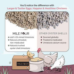 Mile Four oyster shell bone-boost scene with hens.