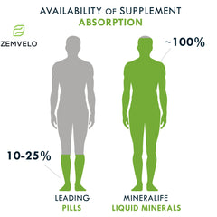 Aloe vera and seaweed components highlighted in Mineralife Liquid Daily Multiple.