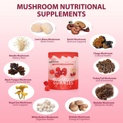 MISSYUM ingredients-panel highlights the ten-mushroom blend.