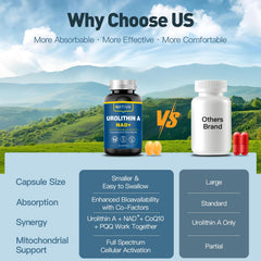 MITIVA Urolithin A pill-count imagery showing 60 servings.