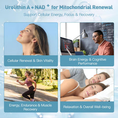 MITIVA Urolithin A packaging shows vegan, non-GMO and gluten-free features.
