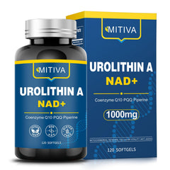 MITIVA Urolithin A supplement bottle with softgels, highlighting daily vitality.