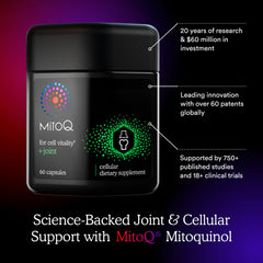 MitoQ +Joint with Green Lipped Mussel Extract supports joints and mobility