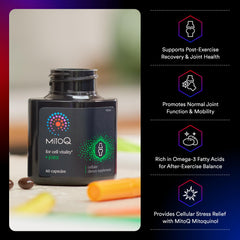 MitoQ +Joint mitochondria illustration showing targeted antioxidant protection