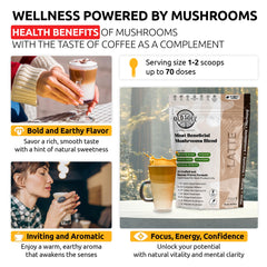 MIXES OLDSOUL Arabica coffee beans bag signals premium beans.