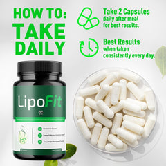 MJO Lipo Fit Capsules daily pills arranged for routine use