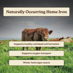 MK Supplements Ironclad beef spleen freeze-dried slices depict rich heme iron