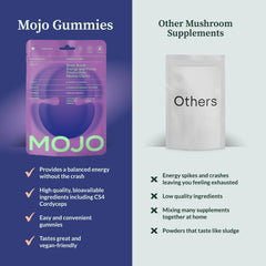 Mojo Focus Gummies with panax ginseng visual emphasize steady energy.