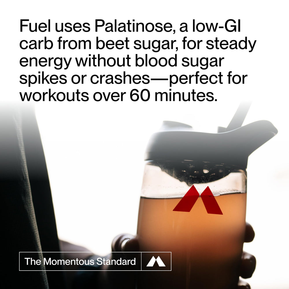 Momentous Fuel scoop dip showing convenient serving for training.