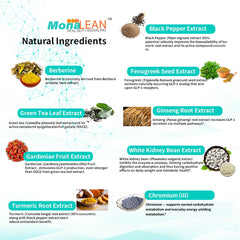 MonaLean Theramone gluten-free label indicating dietary compatibility.