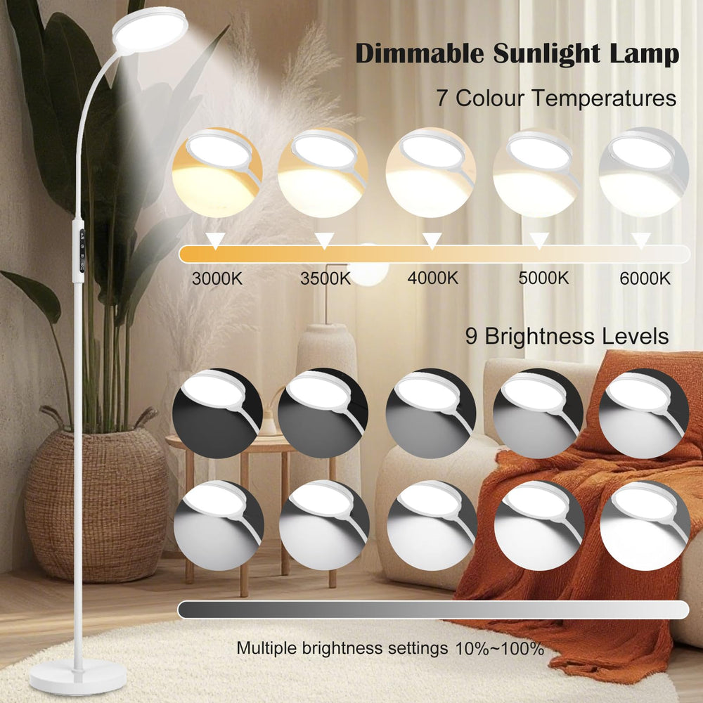 Morpholife 3-in-1 lamp—floor, desk, or clip-on.