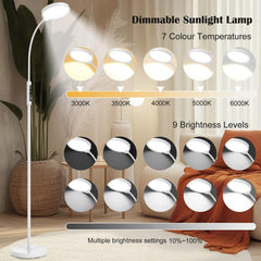 Morpholife 3-in-1 lamp—floor, desk, or clip-on.