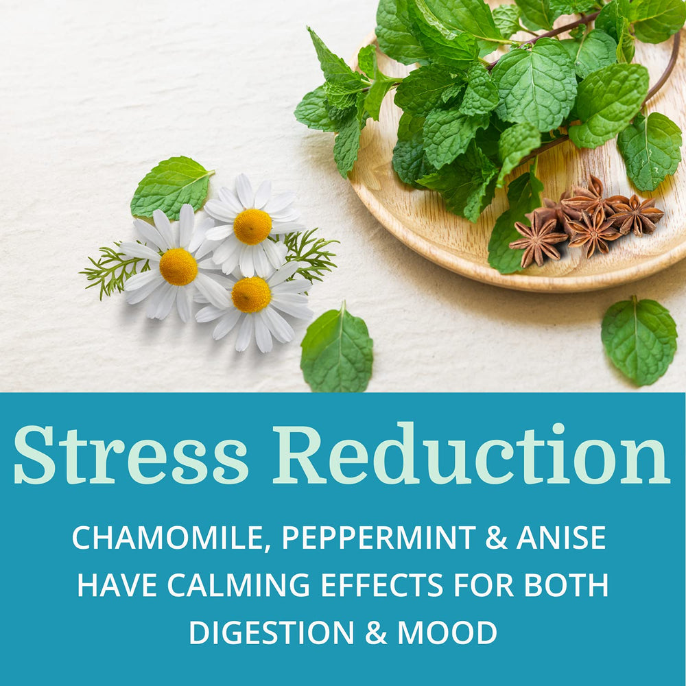 Morter Alka-Pan detox blend hints at liver support.