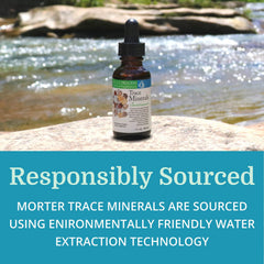 Organic plant sources label on Morter drops emphasizing organic sourcing.