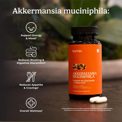 Morvits Akkermansia probiotic label with 2B CFU and vegan formula.