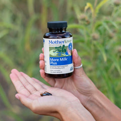 Motherlove More Milk Plus sunflower lecithin detail explains formula role.