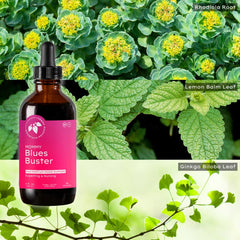 Mountain Meadow Herbs Mommy Blues Buster packaging shown for mood support.