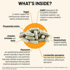 Mountain Peak Nutritionals CoQ10 capsule closeup, highlighting antioxidant support potential.