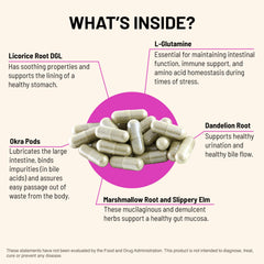 Mountain Peak Permeable Gut capsules ready to take with meals for gentle digestion