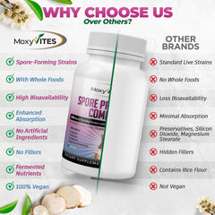 DNA-verified label on MoxyVites Spore Probiotic confirms potent strains.