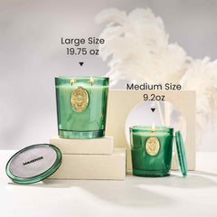 M&SENSE aromatics provide steady fragrance across mid-sized rooms for everyday calm.
