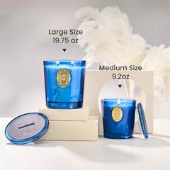 MSENSE Gift-ready packaging makes gifting elegant and convenient.