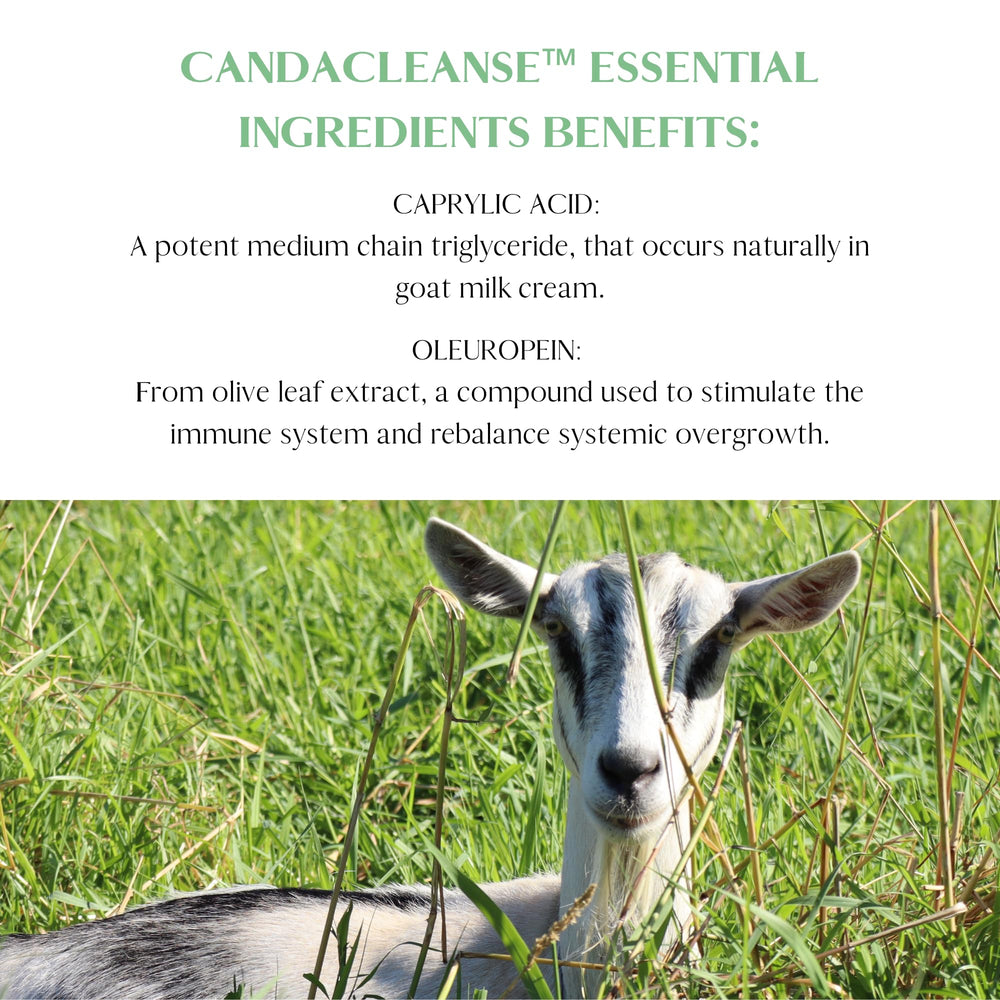 Mt. Capra CandaCleanse enzyme blend image highlights cellulase and protease support