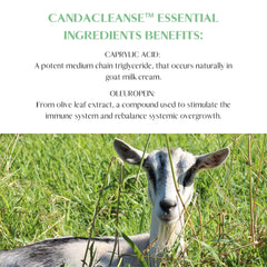 Mt. Capra CandaCleanse enzyme blend image highlights cellulase and protease support