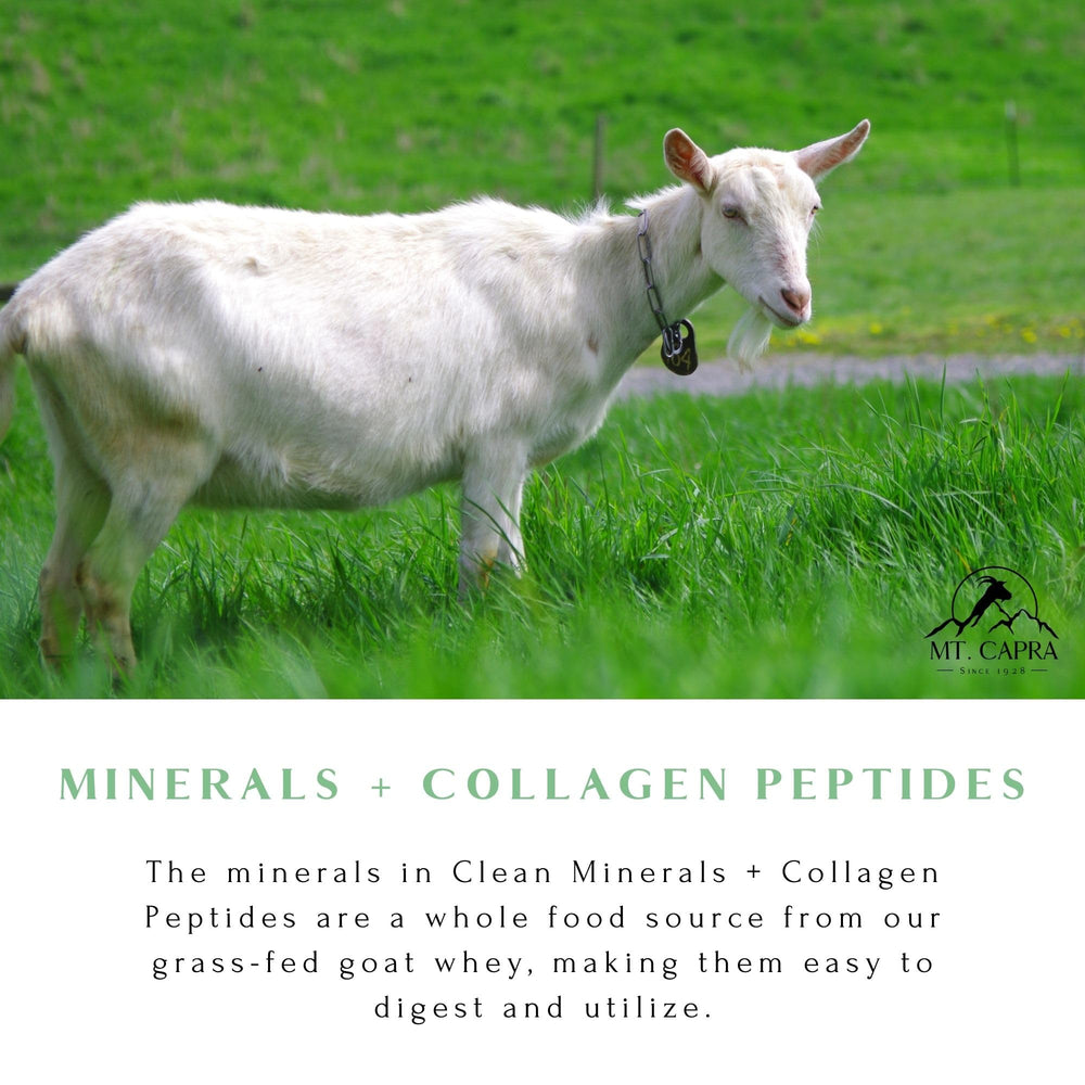 Mt Capra collagen minerals mixed into coffee for mineral boost.