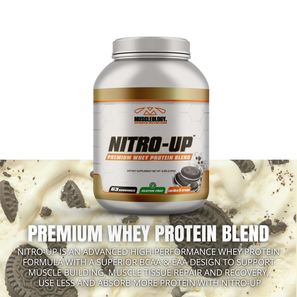 Muscleology Nitro-Up digestive enzymes graphic highlighting digestion support