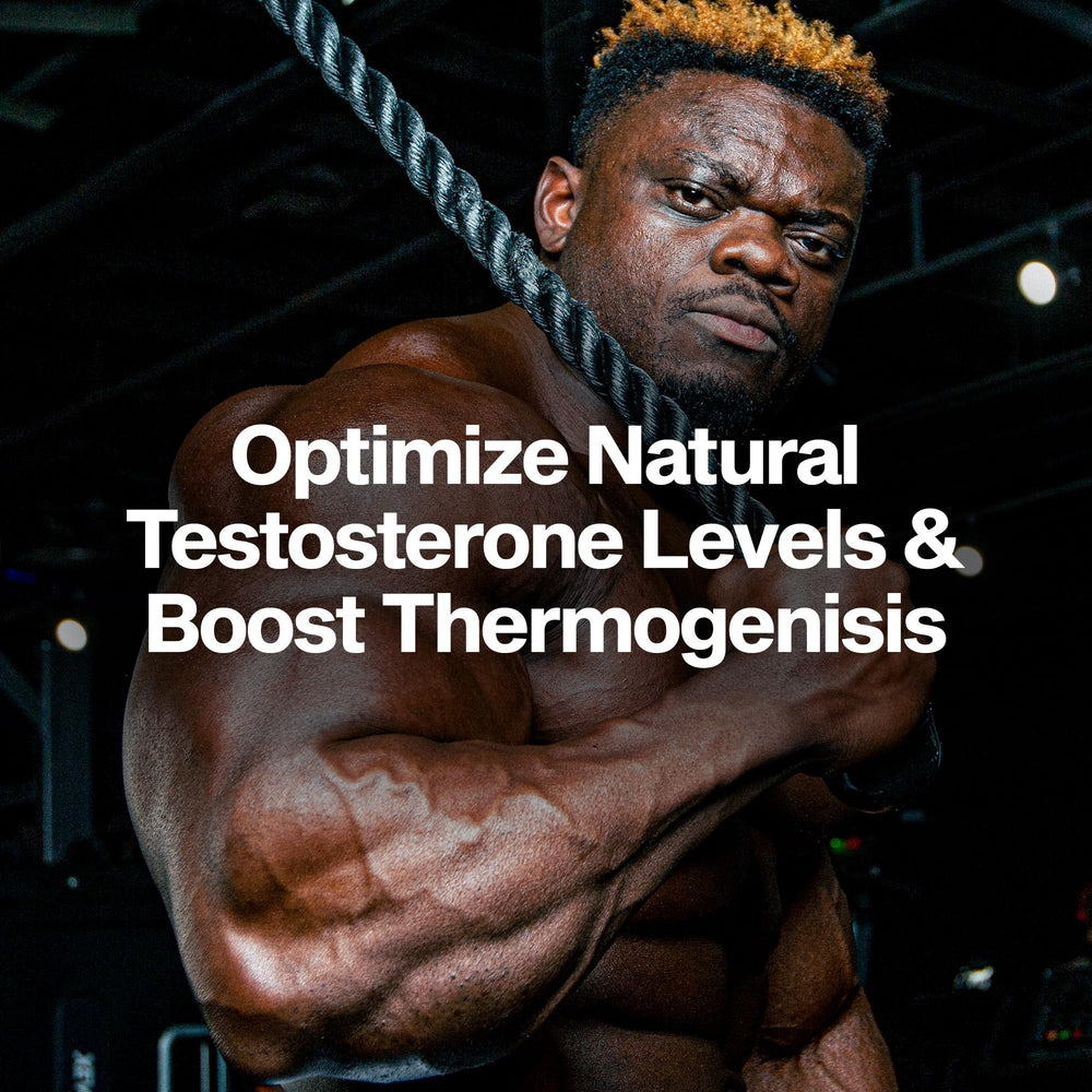 MuscleTech AlphaTest Thermo ingredients chart highlights L-carnitine energy support.